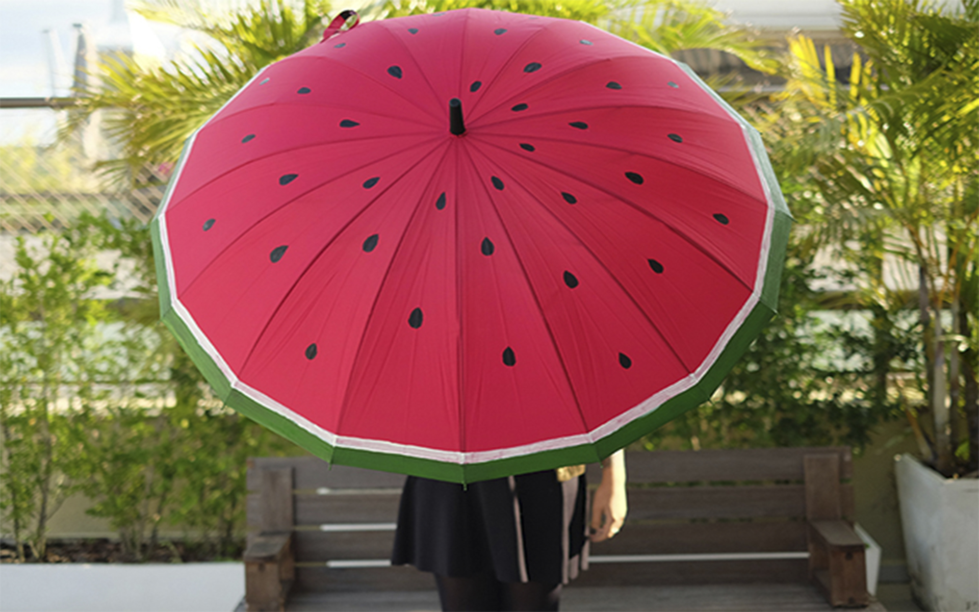 Guarda-chuva de melancia